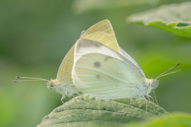 Similar image 22068679