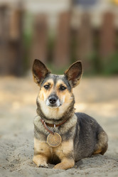 Similar image 22068680