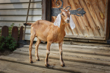 Similar image 22068681