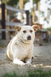 Similar image 22068682