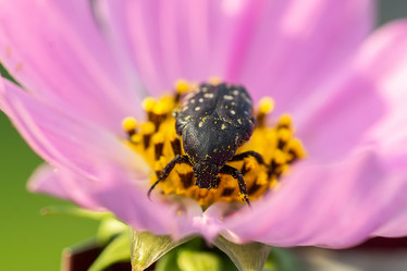 Similar image 22068683