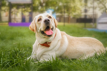 Similar image 22068685