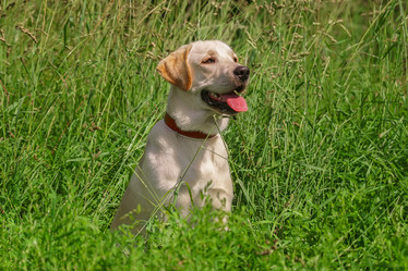 Similar image 22068686