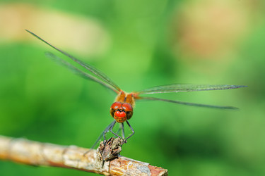 Similar image 22068687