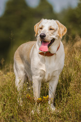 Similar image 22068688