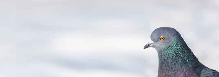 Similar image 22068692