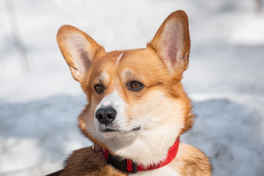 Similar image 22068696