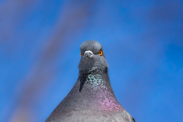 Similar image 22068699