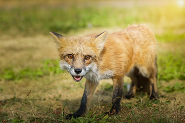 Similar image 22068701