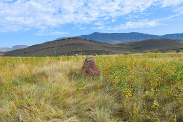 Similar image 22069276