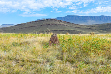 Similar image 22069279