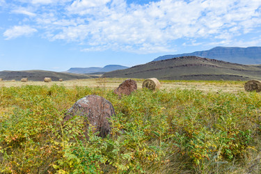 Similar image 22069280