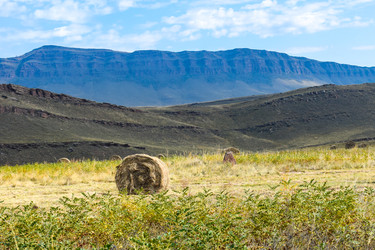 Similar image 22069281