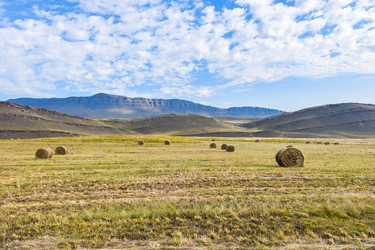 Similar image 22069282