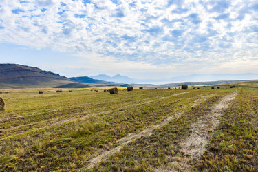 Similar image 22069283