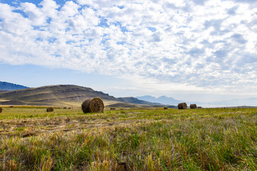 Similar image 22069285