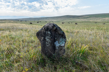 Similar image 22069286