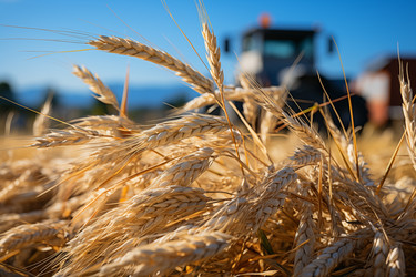 Similar image 22069747