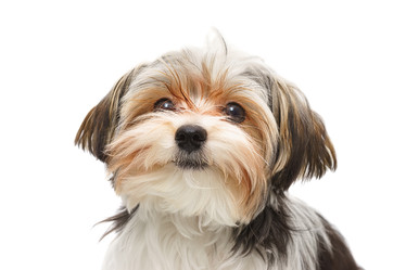 Similar image 22068716