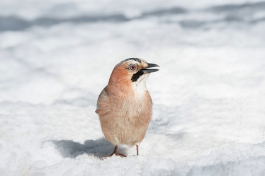 Similar image 22068720