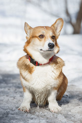 Similar image 22068734