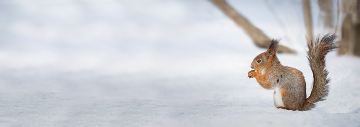 Similar image 22068743