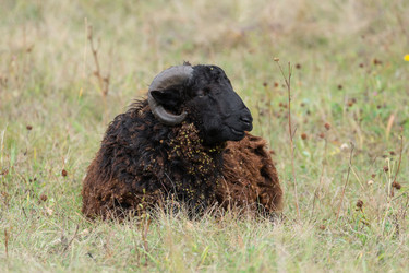 Similar image 22068752