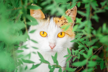 Similar image 22068756