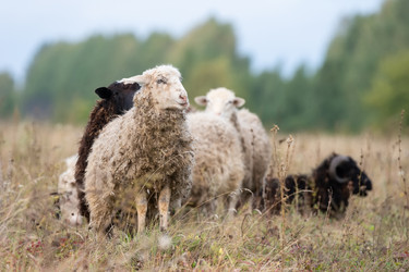 Similar image 22068757