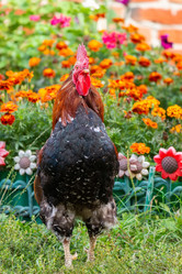 Similar image 22068758