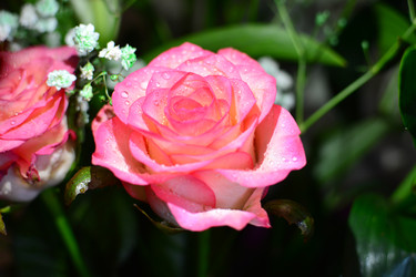 Similar image 22069290