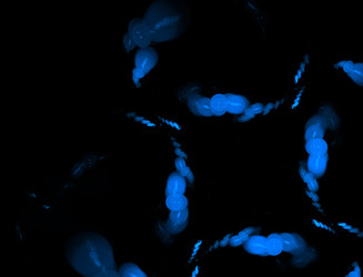 Similar image 22070908