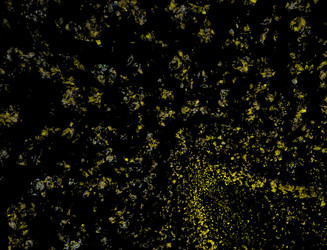 Similar image 22070914