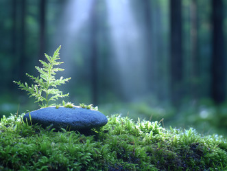 Similar image 22071913