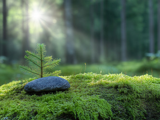 Similar image 22071926