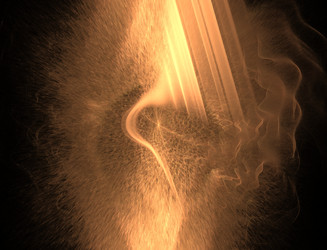 Similar image 22070943