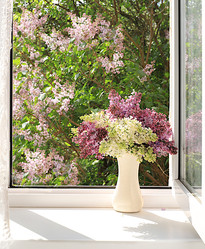 Similar image 22069299