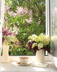 Similar image 22068762