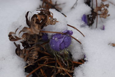 Similar image 22068763