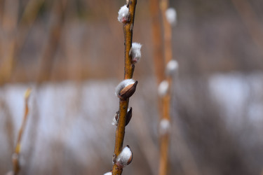 Similar image 22069309