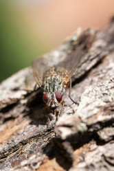 Similar image 22069583