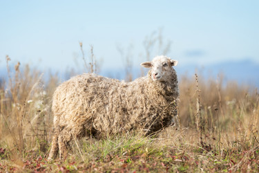 Similar image 22069584