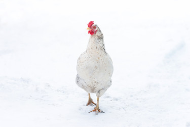 Similar image 22069597