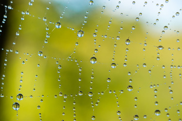 Similar image 22069608