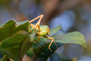 Similar image 22069620