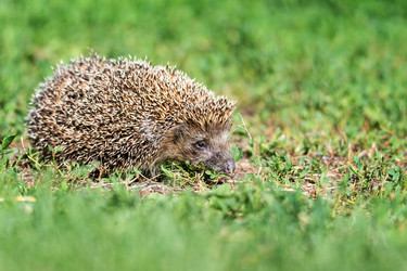 Similar image 22069622