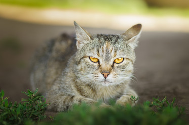 Similar image 22069633