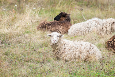 Similar image 22069637