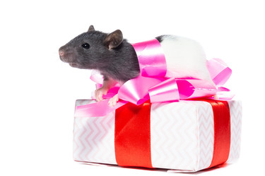 Similar image 22069657