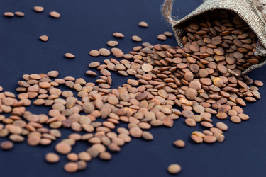 Similar image 22069663